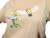 k12IMG_4387pop2.jpg