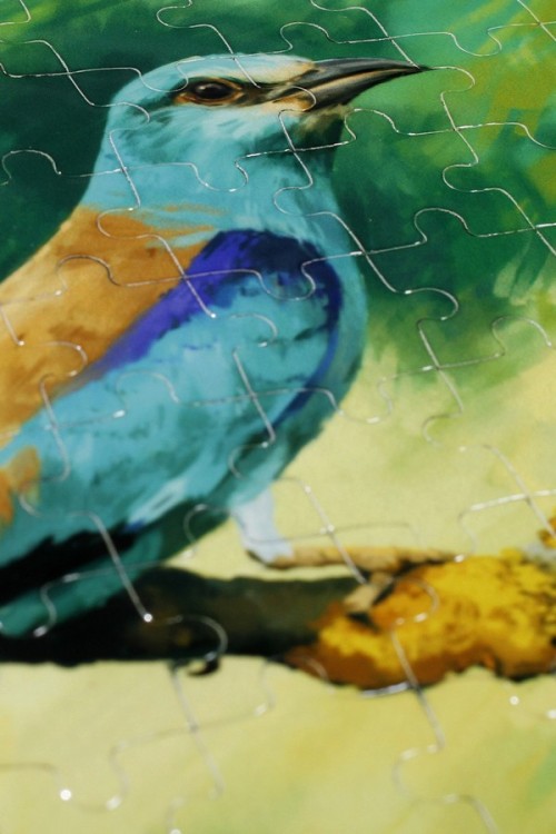 0-puzzle-mag-kraska-2.JPG