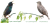 rys-KJS048-szpak.PNG