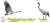 rys-KJS042-zuraw.PNG