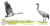 rys-B12TAA-06-zuraw.PNG