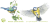 KJS039-modraszka.png