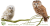 KB21BCZ-puszczyk.png