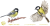 KB21BZ-bogatka.png