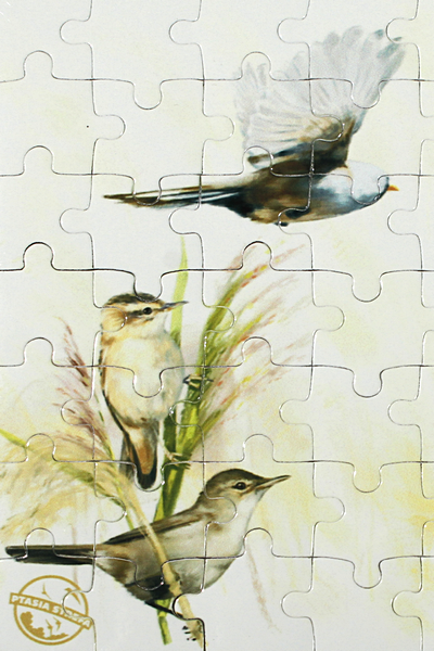 puzzle-magnetyczne-trzcinowe-4.png