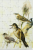 puzzle-magnetyczne-trzcinowe-5.png