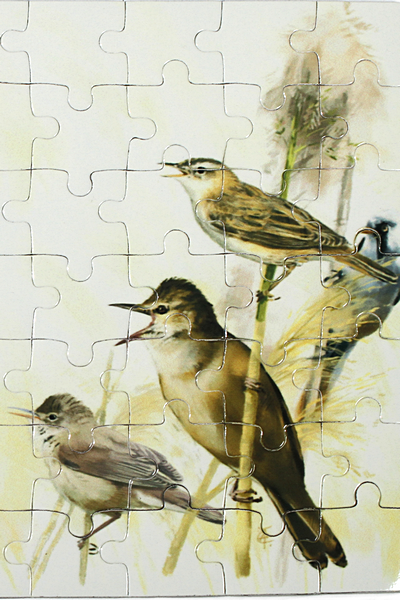 puzzle-magnetyczne-trzcinowe-5.png